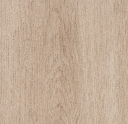 Dune Smooth Oak